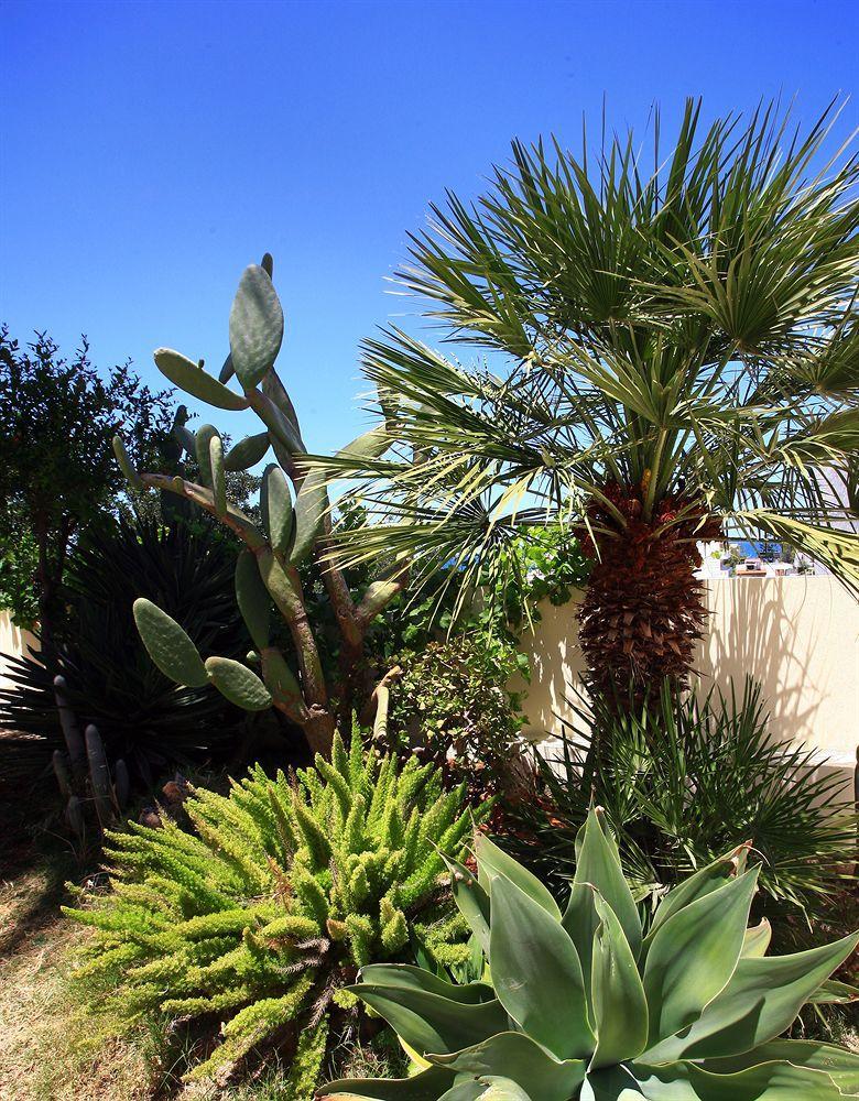Eurohotel Katrin Suites (Adults Only) Hersonissos  Exterior photo